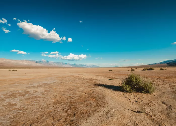 desert