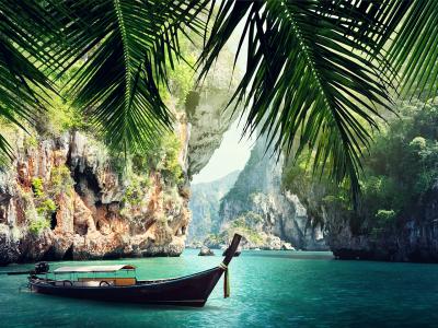 tropical shore
