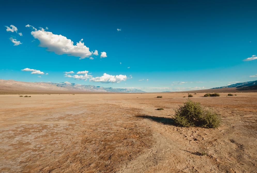 desert