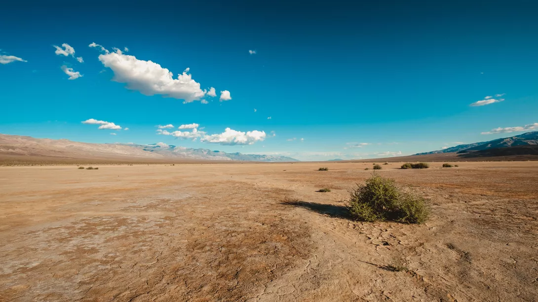 desert
